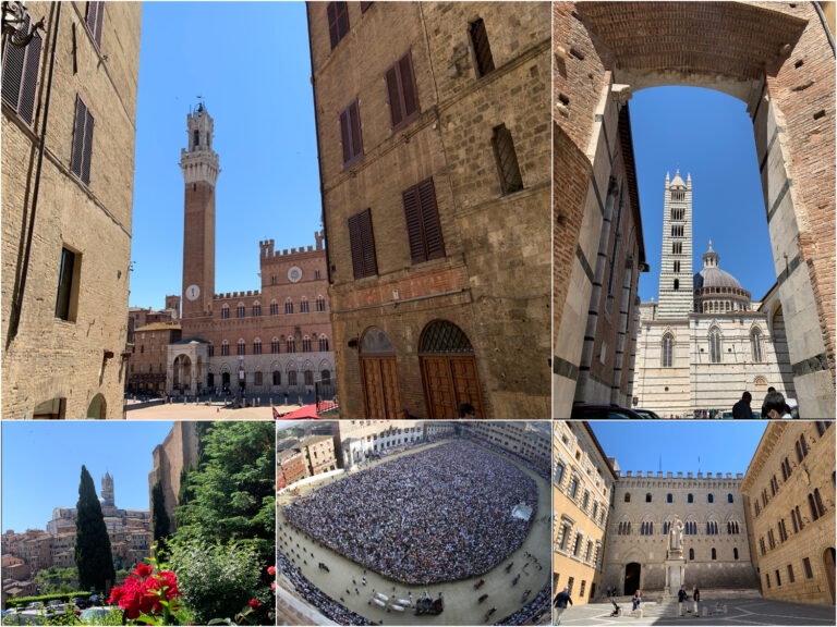 Siena collage1